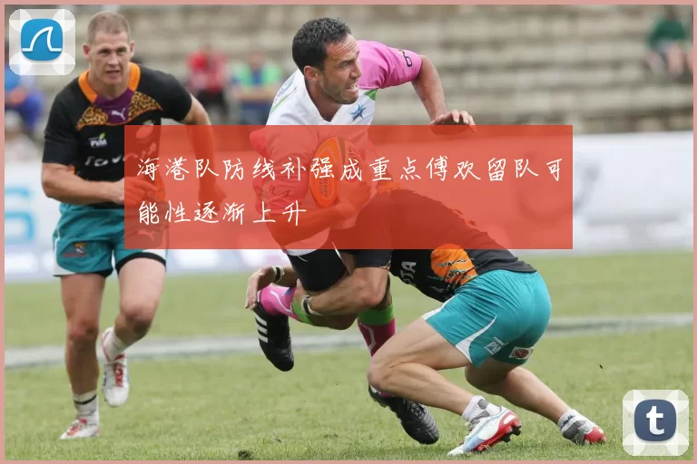 海港队防线补强成重点傅欢留队可能性逐渐上升
