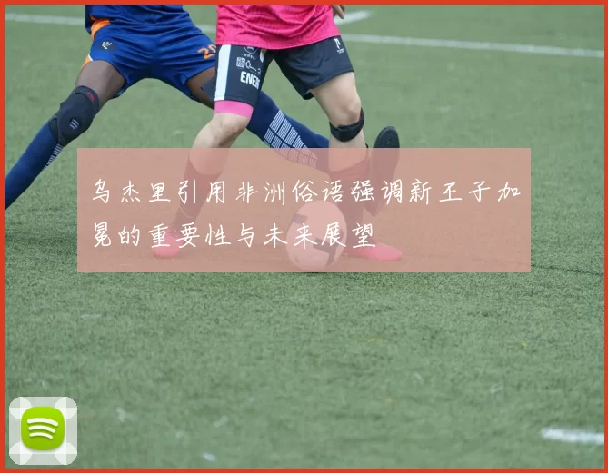 乌杰里引用非洲俗语强调新王子加冕的重要性与未来展望